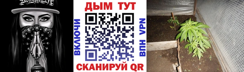 Виды наркотиков купить Киров A-PVP  КОКАИН  Мефедрон  Бошки Шишки  МДМА  Гашиш 