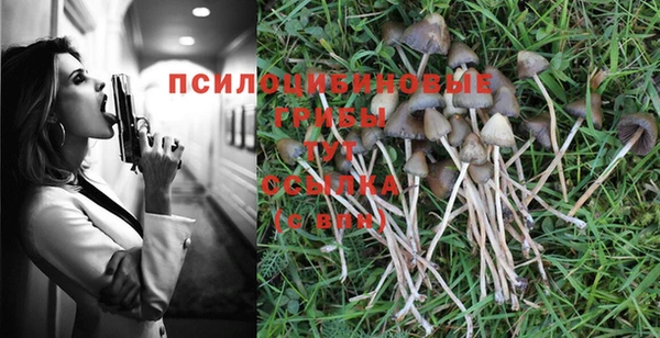 прущая мука Алзамай